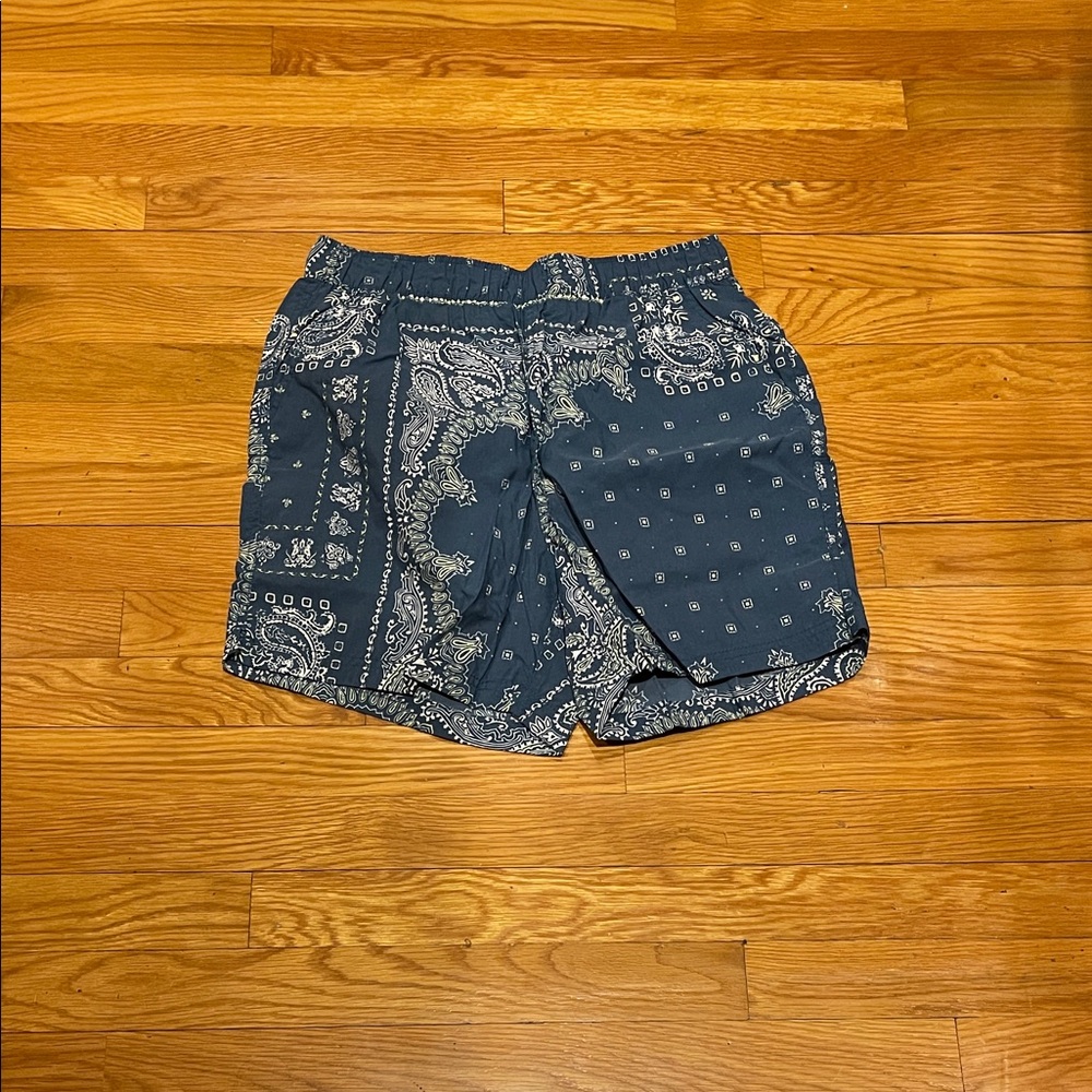 Urban Outfitters Blue Paisley Swim Trunks
